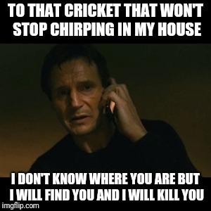 Liam Neeson Taken Meme | TO THAT CRICKET THAT WON'T STOP CHIRPING IN MY HOUSE; I DON'T KNOW WHERE YOU ARE BUT I WILL FIND YOU AND I WILL KILL YOU | image tagged in memes,liam neeson taken | made w/ Imgflip meme maker