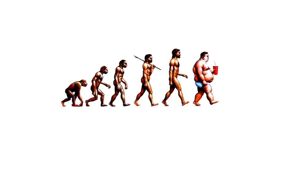 Evolution or Genealogy Blank Meme Template