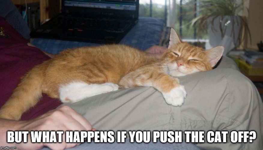 BUT WHAT HAPPENS IF YOU PUSH THE CAT OFF? | made w/ Imgflip meme maker