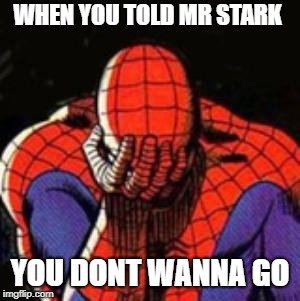 Sad Spiderman | WHEN YOU TOLD MR STARK; YOU DONT WANNA GO | image tagged in memes,sad spiderman,spiderman | made w/ Imgflip meme maker