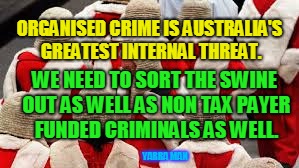 ORGANISED CRIME IS AUSTRALIA'S GREATEST INTERNAL THREAT. WE NEED TO SORT THE SWINE OUT AS WELL AS NON TAX PAYER FUNDED CRIMINALS AS WELL. YARRA MAN | image tagged in judge criminals | made w/ Imgflip meme maker