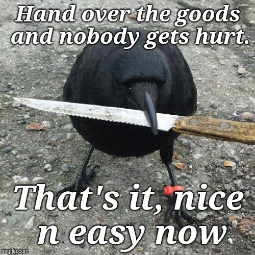 Hand over the goods and nobody gets hurt. That's it, nice n easy now | made w/ Imgflip meme maker