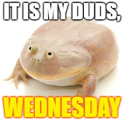 It is wednesday my dudes | IT IS MY DUDS, WEDNESDAY | image tagged in it is wednesday my dudes | made w/ Imgflip meme maker