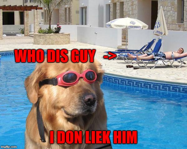 doggo | WHO DIS GUY   ->; I DON LIEK HIM | image tagged in doggo | made w/ Imgflip meme maker