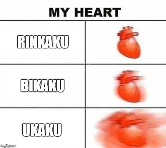 My heart blank | RINKAKU; BIKAKU; UKAKU | image tagged in my heart blank | made w/ Imgflip meme maker
