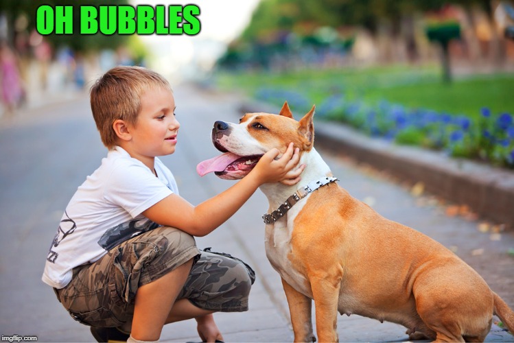 OH BUBBLES | made w/ Imgflip meme maker