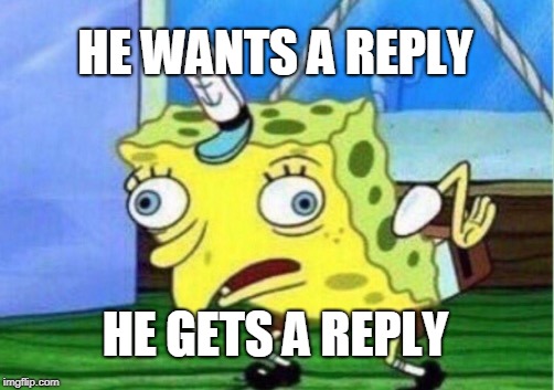 Mocking Spongebob Meme | HE WANTS A REPLY; HE GETS A REPLY | image tagged in memes,mocking spongebob | made w/ Imgflip meme maker