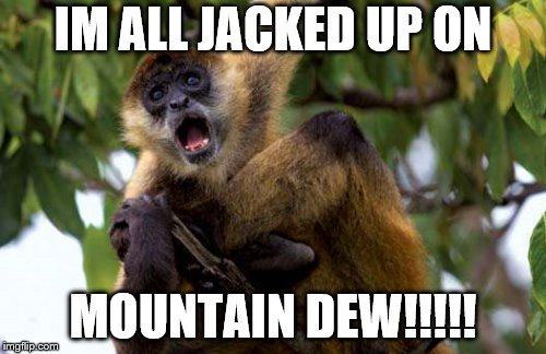 Jacked up on Mountain dew! | IM ALL JACKED UP ON; MOUNTAIN DEW!!!!! | image tagged in mountain dew,monkey | made w/ Imgflip meme maker