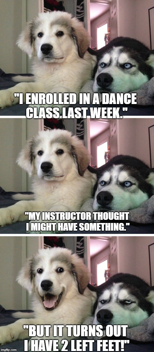 Bad pun dogs | "I ENROLLED IN A DANCE CLASS LAST WEEK."; "MY INSTRUCTOR THOUGHT I MIGHT HAVE SOMETHING."; "BUT IT TURNS OUT I HAVE 2 LEFT FEET!" | image tagged in bad pun dogs | made w/ Imgflip meme maker