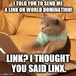 Typing cat meme | I TOLD YOU TO SEND ME A LINK ON WORLD DOMINATION! LINK? I THOUGHT YOU SAID LINX. | image tagged in typing cat meme | made w/ Imgflip meme maker