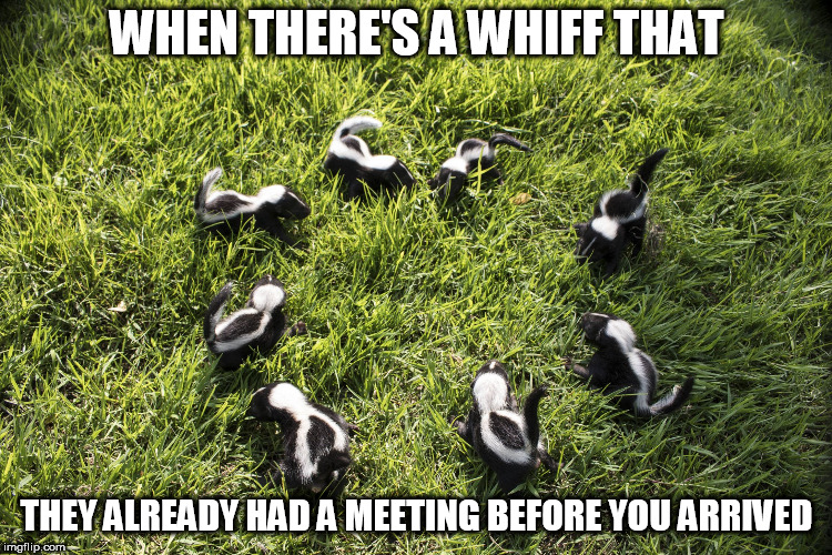 skunk meeting | WHEN THERE'S A WHIFF THAT; THEY ALREADY HAD A MEETING BEFORE YOU ARRIVED | image tagged in skunk meeting | made w/ Imgflip meme maker