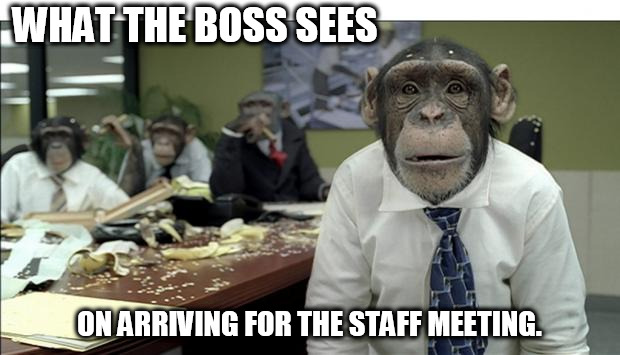Meeting | WHAT THE BOSS SEES; ON ARRIVING FOR THE STAFF MEETING. | image tagged in meeting | made w/ Imgflip meme maker