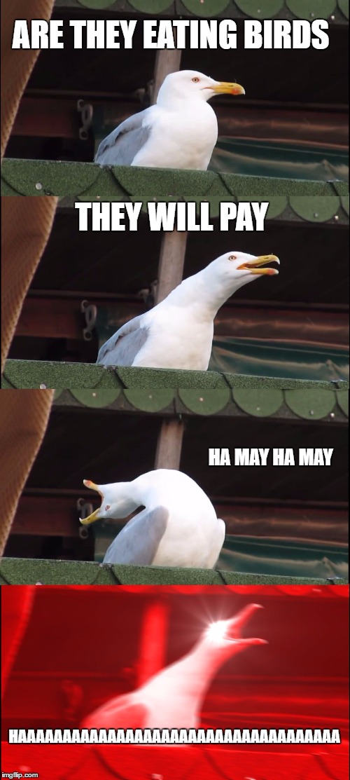 Inhaling Seagull Meme | ARE THEY EATING BIRDS; THEY WILL PAY; HA MAY HA MAY; HAAAAAAAAAAAAAAAAAAAAAAAAAAAAAAAAAAAA | image tagged in memes,inhaling seagull | made w/ Imgflip meme maker