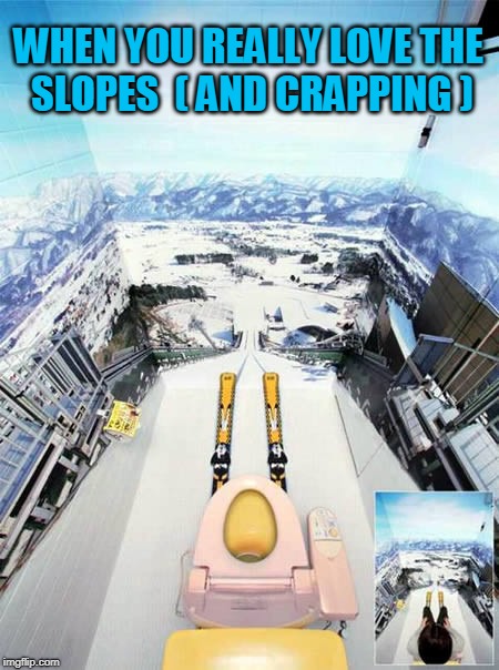 WHEN YOU REALLY LOVE THE SLOPES  ( AND CRAPPING ) | image tagged in toilet,skiing,art | made w/ Imgflip meme maker