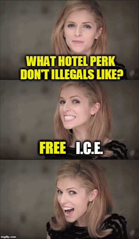 A Basket of Deportables | WHAT HOTEL PERK DON'T ILLEGALS LIKE? FREE    I.C.E. FREE | image tagged in memes,bad pun anna kendrick,funny,mxm | made w/ Imgflip meme maker