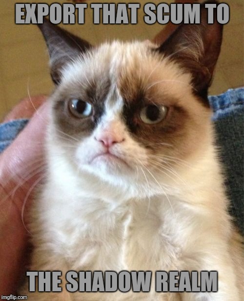 Grumpy Cat Meme | EXPORT THAT SCUM TO THE SHADOW REALM | image tagged in memes,grumpy cat | made w/ Imgflip meme maker