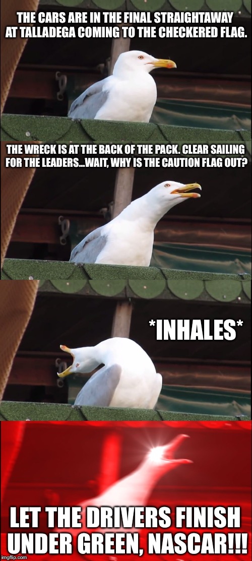 Green White Wreckers Yellow Checkers | THE CARS ARE IN THE FINAL STRAIGHTAWAY AT TALLADEGA COMING TO THE CHECKERED FLAG. THE WRECK IS AT THE BACK OF THE PACK. CLEAR SAILING FOR THE LEADERS...WAIT, WHY IS THE CAUTION FLAG OUT? *INHALES*; LET THE DRIVERS FINISH UNDER GREEN, NASCAR!!! | image tagged in memes,inhaling seagull,nascar,car crash,talladega nights,wreck | made w/ Imgflip meme maker