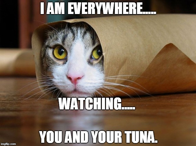 I AM EVERYWHERE..... WATCHING..... YOU AND YOUR TUNA. | made w/ Imgflip meme maker