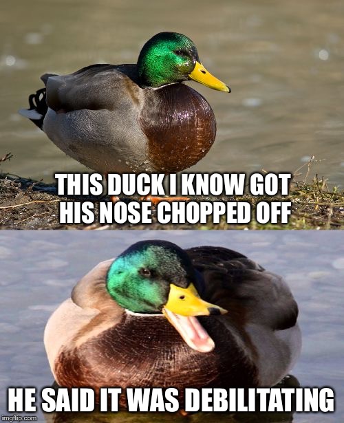 Bad Pun Duck |  THIS DUCK I KNOW GOT HIS NOSE CHOPPED OFF; HE SAID IT WAS DEBILITATING | image tagged in bad pun duck,memes,funny,funny animals,cute animals,memes | made w/ Imgflip meme maker