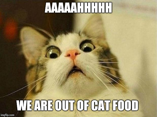Scared Cat Meme | AAAAAHHHHH; WE ARE OUT OF CAT FOOD | image tagged in memes,scared cat | made w/ Imgflip meme maker
