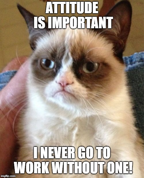 Grumpy Cat Meme | ATTITUDE IS IMPORTANT; I NEVER GO TO WORK WITHOUT ONE! | image tagged in memes,grumpy cat | made w/ Imgflip meme maker