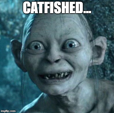 Gollum | CATFISHED... | image tagged in memes,gollum | made w/ Imgflip meme maker