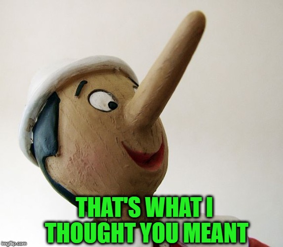 Pinnochio | THAT'S WHAT I THOUGHT YOU MEANT | image tagged in pinnochio | made w/ Imgflip meme maker