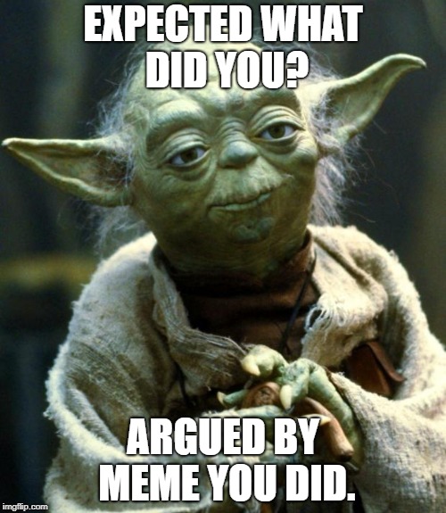 Star Wars Yoda | EXPECTED WHAT DID YOU? ARGUED BY MEME YOU DID. | image tagged in memes,star wars yoda | made w/ Imgflip meme maker