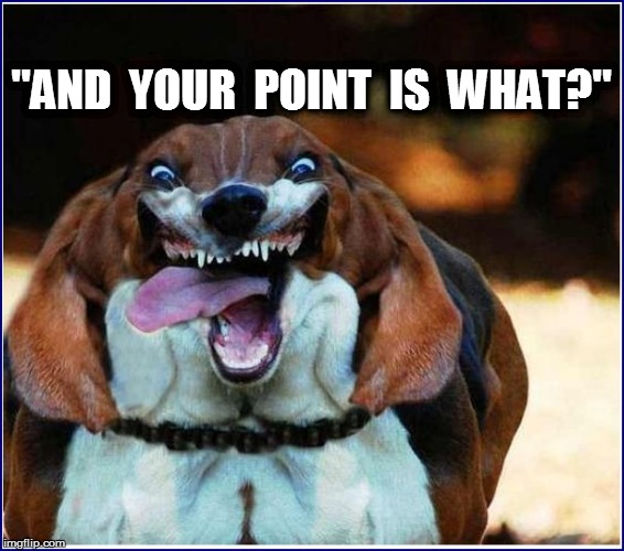 ''AND  YOUR  POINT  IS  WHAT?'' | made w/ Imgflip meme maker