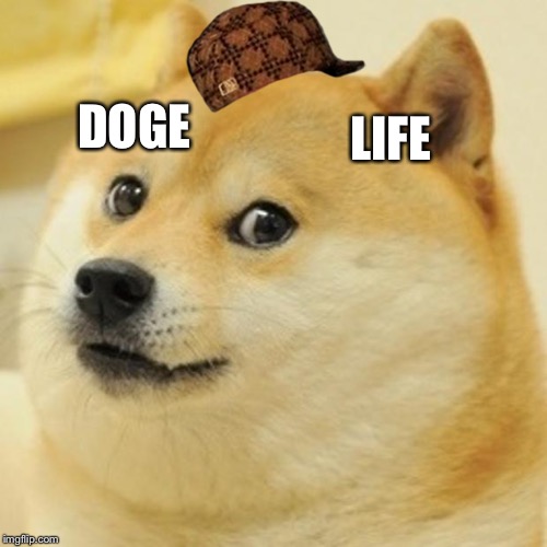 Doge Meme | DOGE; LIFE | image tagged in memes,doge,scumbag | made w/ Imgflip meme maker