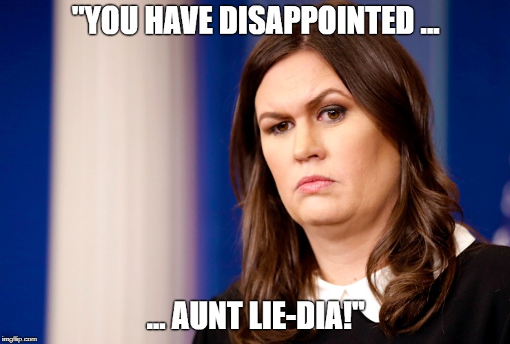 "YOU HAVE DISAPPOINTED ... ... AUNT LIE-DIA!" | image tagged in sarah huckabee sanders,aunt lydia,sarah huckabee,sarah sanders,trump | made w/ Imgflip meme maker