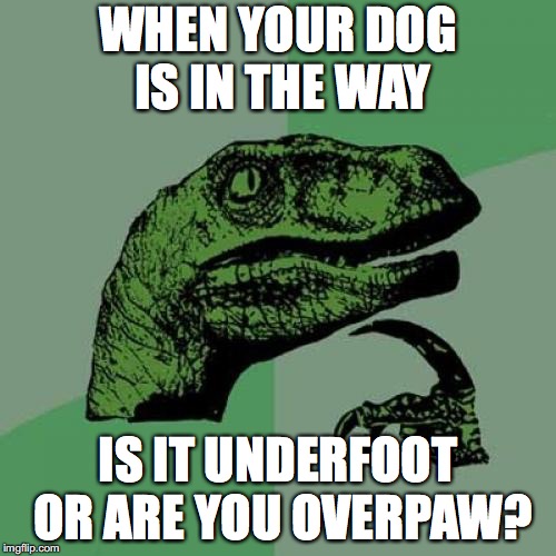 I think we are overpaw. | WHEN YOUR DOG IS IN THE WAY; IS IT UNDERFOOT OR ARE YOU OVERPAW? | image tagged in memes,philosoraptor | made w/ Imgflip meme maker