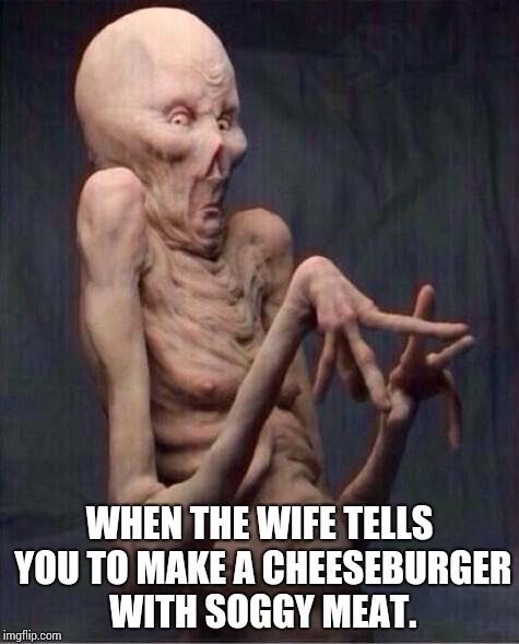alien | WHEN THE WIFE TELLS YOU TO MAKE A CHEESEBURGER WITH SOGGY MEAT. | image tagged in alien | made w/ Imgflip meme maker