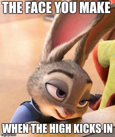 Zootopia Weed | THE FACE YOU MAKE; WHEN THE HIGH KICKS IN | image tagged in judy hopps high,zootopia,judy hopps,high,funny,memes | made w/ Imgflip meme maker