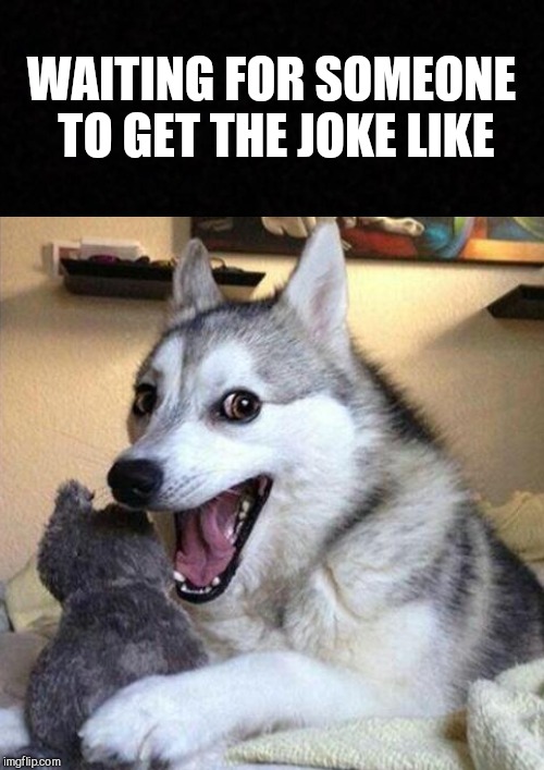 Get it? Get it? Hahaha? | WAITING FOR SOMEONE TO GET THE JOKE LIKE | image tagged in bad pun dog | made w/ Imgflip meme maker
