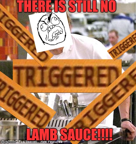 I love this meme | THERE IS STILL NO; LAMB SAUCE!!!! | image tagged in memes,chef gordon ramsay | made w/ Imgflip meme maker