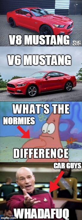For all you normies out there | V8 MUSTANG; V6 MUSTANG; NORMIES; CAR GUYS; WHADAFUQ | image tagged in captain picard wtf | made w/ Imgflip meme maker