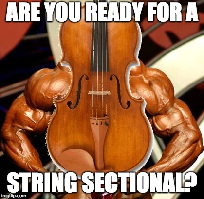 Viola, a violin on steroids | ARE YOU READY FOR A; STRING SECTIONAL? | image tagged in viola a violin on steroids | made w/ Imgflip meme maker
