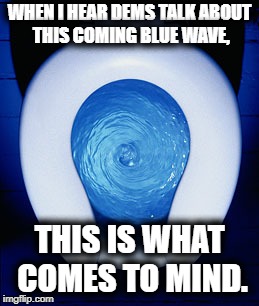Dems in 2018 Midterm elections. | WHEN I HEAR DEMS TALK ABOUT THIS COMING BLUE WAVE, THIS IS WHAT COMES TO MIND. | image tagged in blue water,democratic party,liberal,political meme | made w/ Imgflip meme maker