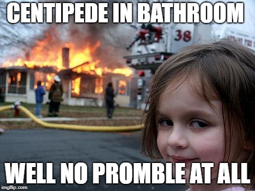 Disaster Girl Meme | CENTIPEDE IN BATHROOM; WELL NO PROMBLE AT ALL | image tagged in memes,disaster girl | made w/ Imgflip meme maker