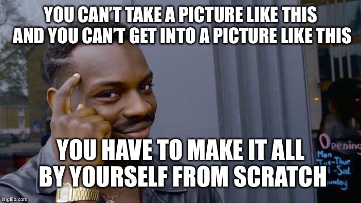 Natural Deselection - Sorry Fool. | YOU CAN’T TAKE A PICTURE LIKE THIS AND YOU CAN’T GET INTO A PICTURE LIKE THIS; YOU HAVE TO MAKE IT ALL BY YOURSELF FROM SCRATCH | image tagged in memes,roll safe think about it | made w/ Imgflip meme maker