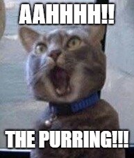 AAHHHH!! THE PURRING!!! | made w/ Imgflip meme maker