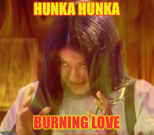 Mima on fire | HUNKA HUNKA BURNING LOVE | image tagged in mima on fire | made w/ Imgflip meme maker