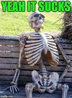 Waiting Skeleton Meme | YEAH IT SUCKS | image tagged in memes,waiting skeleton | made w/ Imgflip meme maker