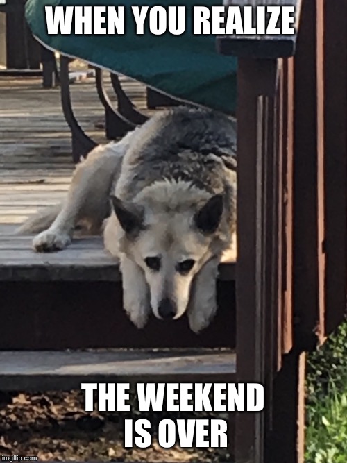 Weekend over  | WHEN YOU REALIZE; THE WEEKEND IS OVER | image tagged in weekend over | made w/ Imgflip meme maker