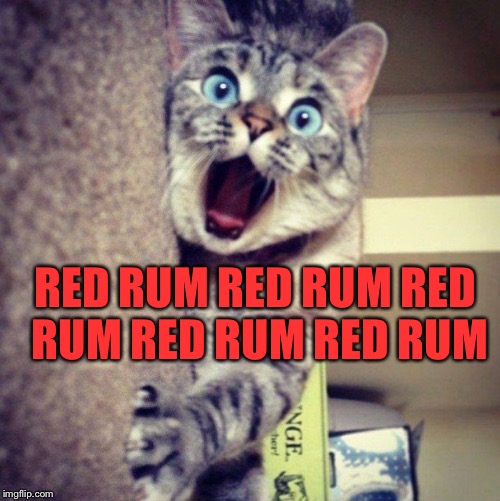 RED RUM RED RUM RED RUM RED RUM RED RUM | made w/ Imgflip meme maker