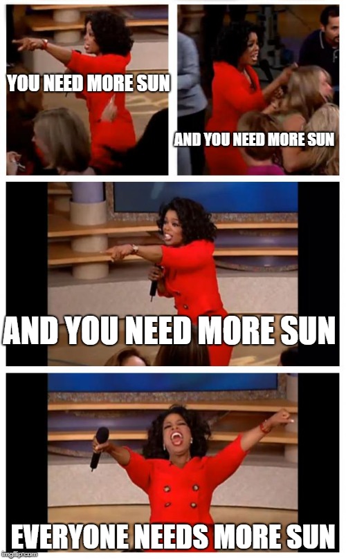 Oprah You Get A Car Everybody Gets A Car Meme | YOU NEED MORE SUN; AND YOU NEED MORE SUN; AND YOU NEED MORE SUN; EVERYONE NEEDS MORE SUN | image tagged in memes,oprah you get a car everybody gets a car | made w/ Imgflip meme maker