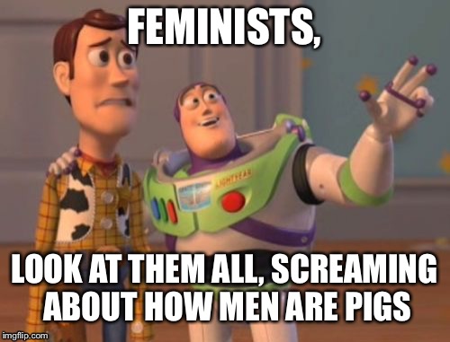 X, X Everywhere Meme | FEMINISTS, LOOK AT THEM ALL, SCREAMING ABOUT HOW MEN ARE PIGS | image tagged in memes,x x everywhere | made w/ Imgflip meme maker