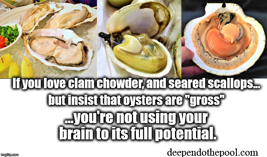 Oysters vs Clams & Scallops | If you love clam chowder, and seared scallops... but insist that oysters are "gross"; ...you're not using your brain to its full potential. deependothepool.com | image tagged in oysters,clams,scallops | made w/ Imgflip meme maker