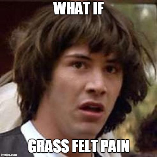 Conspiracy Keanu | WHAT IF; GRASS FELT PAIN | image tagged in memes,conspiracy keanu | made w/ Imgflip meme maker